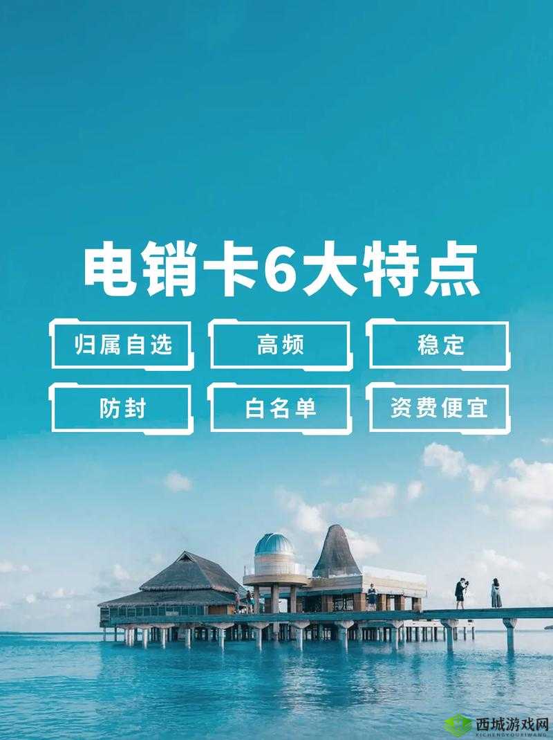 国内精品一卡二卡三卡公司,引领行业潮流