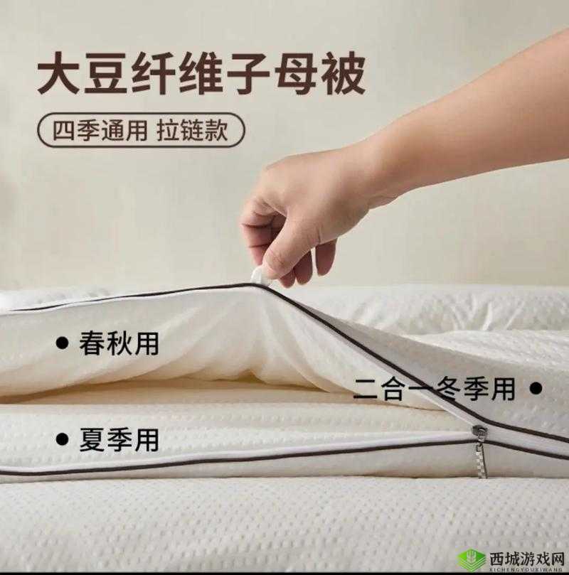 二合一子母被:一被多用,四季皆宜