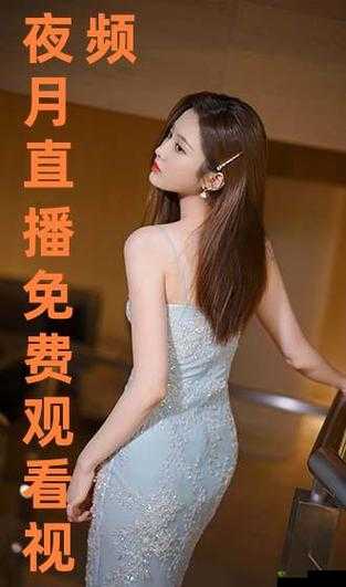 夜月直播免费下载视频:提供丰富多样的精彩内容