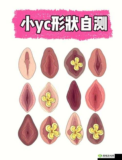 成熟女性的私密花园:探索插熟女逼的奥秘