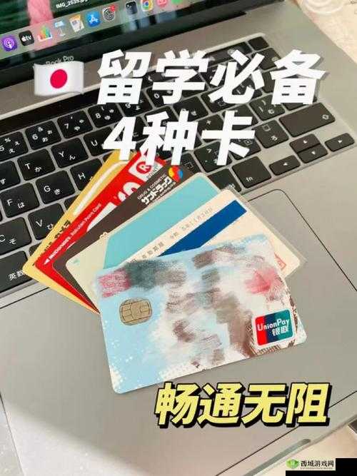 国产日本卡二卡三卡四卡:成人影片中的中日文化交融