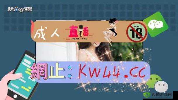 404 禁用软件下载大全免费安装:涵盖多种类型软件资源