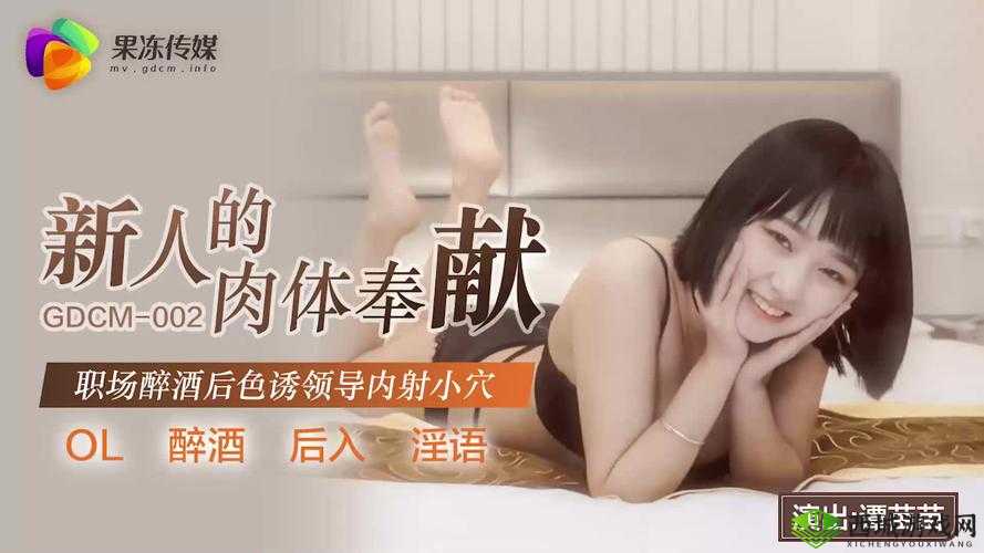 麻豆剧果冻传媒精品:一部值得深入探讨和分析的作品