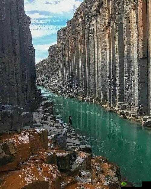 看了就会立的图片:带你领略震撼视觉的奇妙之旅