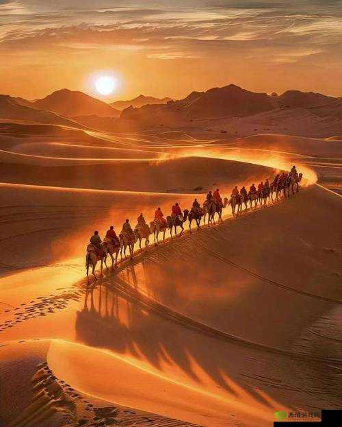 aaaa 级:探寻其背后的高标准与卓越品质之路