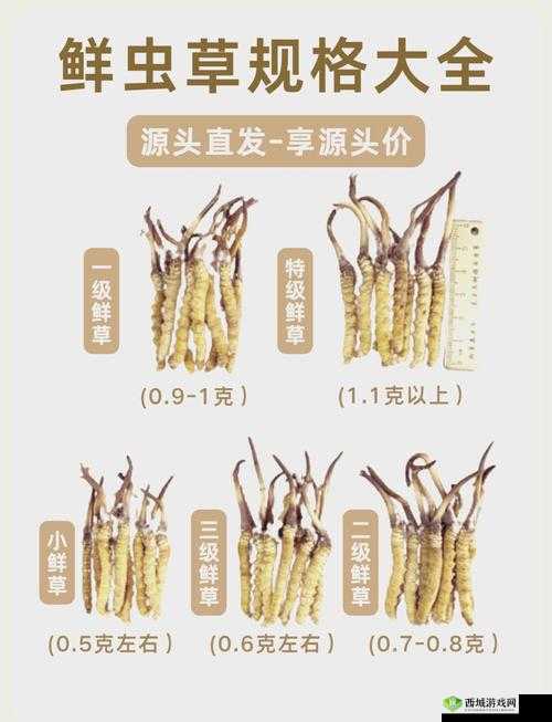 老牛嫩草一二三产品有何区别?详细对比解答