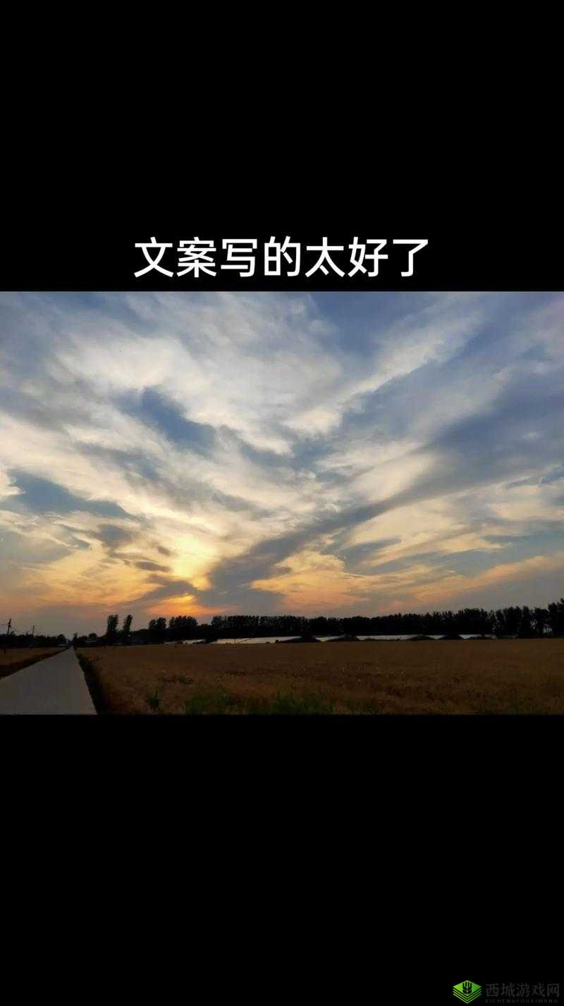 男生和女生一起愁愁视频素材:他们为何而愁愁的背后故事