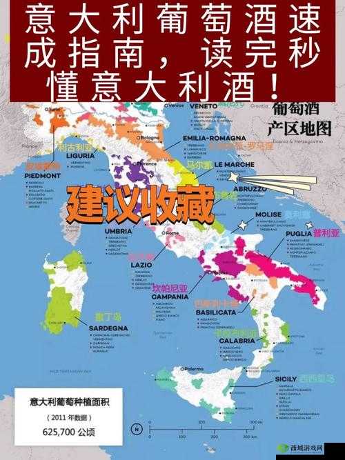 探索欧美精品一产区二产区葡萄酒:深入解读其独特魅力与文化内涵