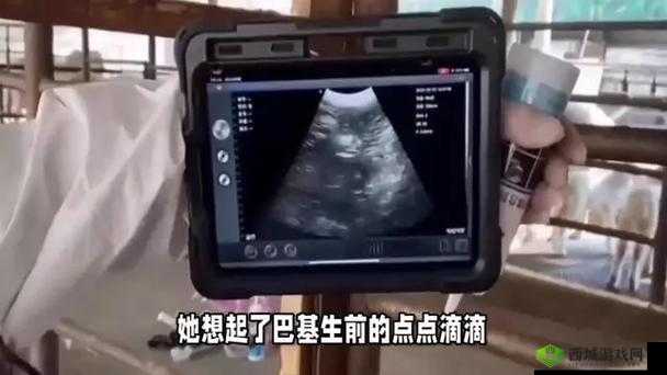 震惊一男子让其母亲不断怀孕,真相竟然是......