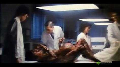 老年女性的私密生活:揭秘特级毛片背后的故事