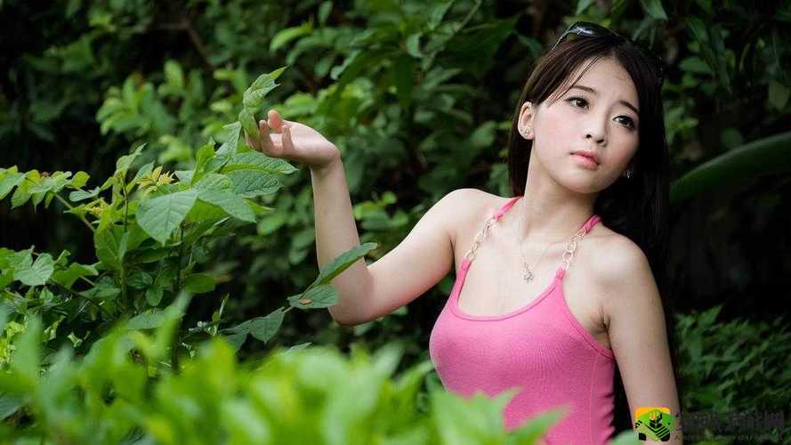 GOGOGO 影视免费播放 MV:精彩不断,畅享不停