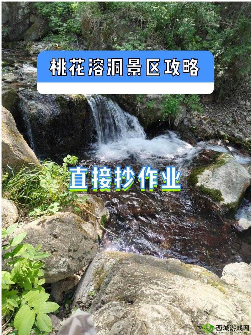 桃花洞口现状探访:探寻其历史渊源与当前真实情况