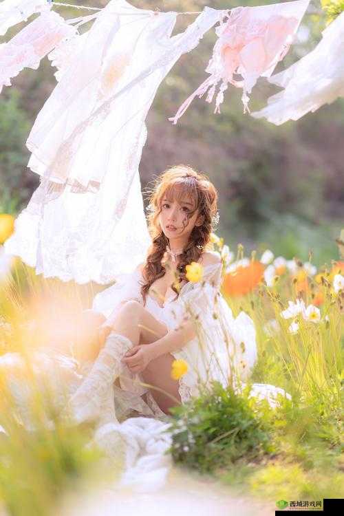 成版人 APP 网站:畅享独特精彩成人内容世界