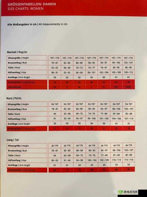 欧洲多尺码 3538:关于其详细介绍及相关产品展示