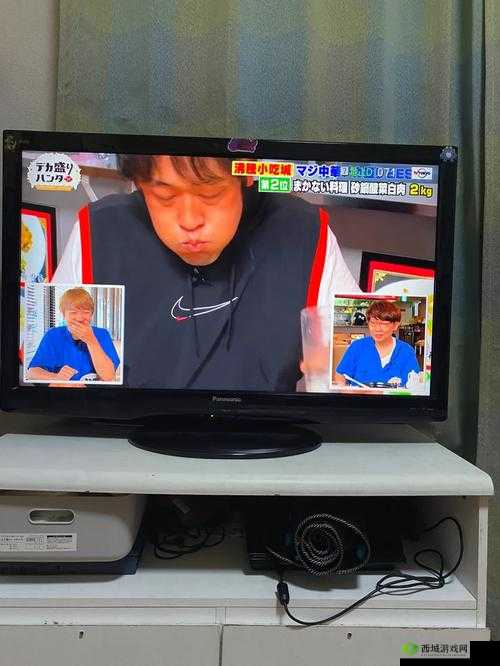 gogogo日本免费观看电视中文:带你体验不一样的电视之旅