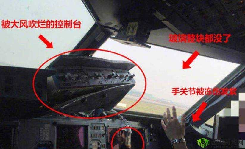 在三万英尺高空的私密空间里,空姐的喘息为何如此急促?