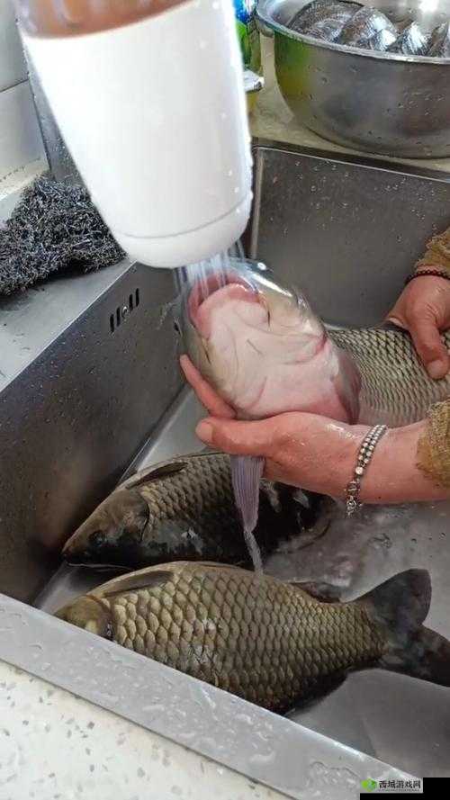 女人绝技:鲤鱼喝水六个动作展现独特魅力