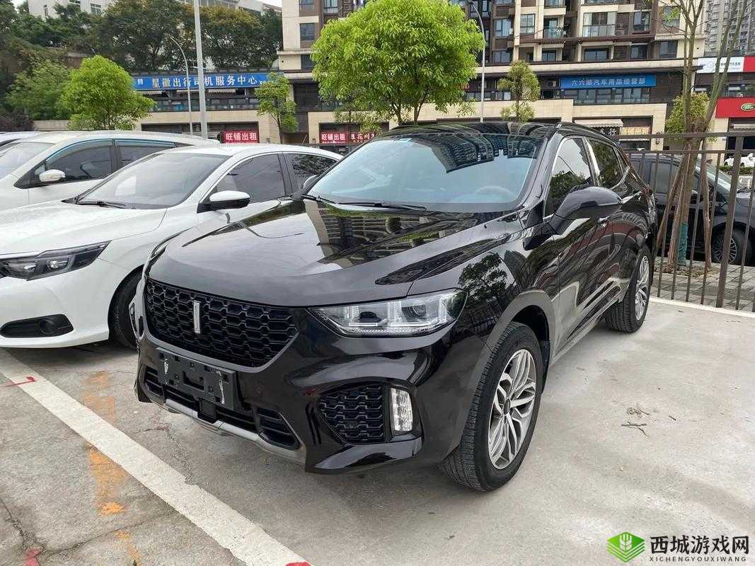 WEY VV5 国产 SUV 魅力尽显:精彩视频全呈现