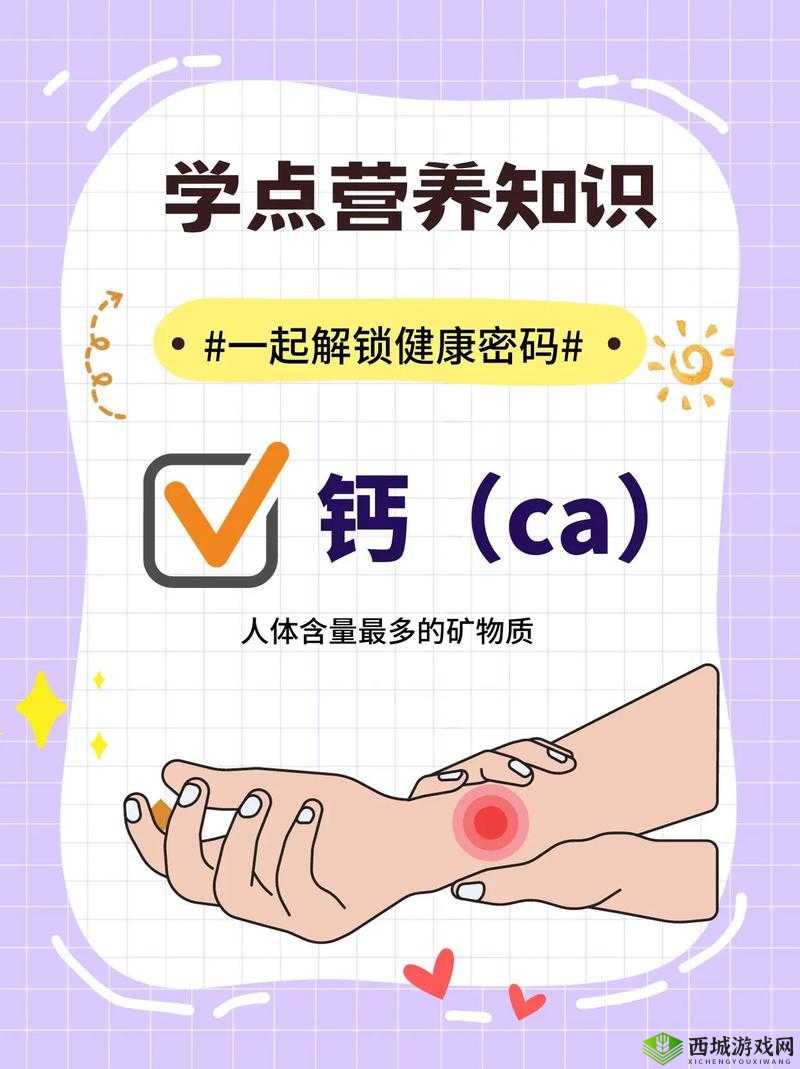 Gy 钙同 2024 钙片:助力骨骼健康的优质选择