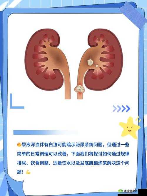 小兄弟里面有白色物质怎么回事:可能的原因及应对方法探讨