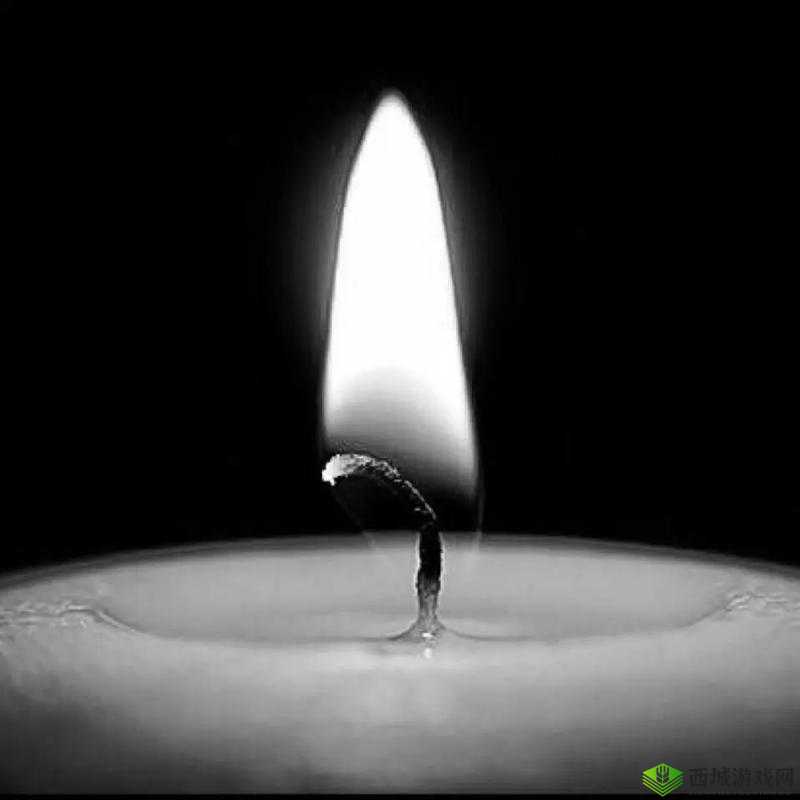 天堂に駆ける向天堂奔去:探寻其背后深刻内涵与情感寄托