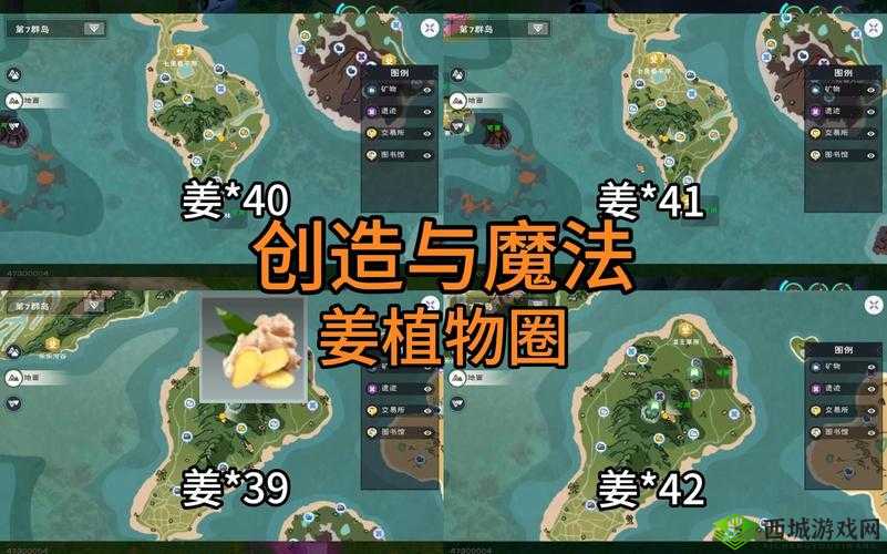 魔法与姜的奇妙交织