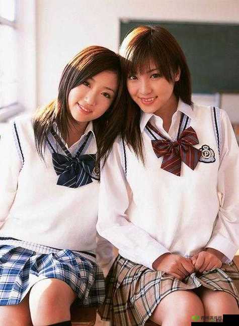 XXXX69 日本相关内容引发的深刻思考与探讨