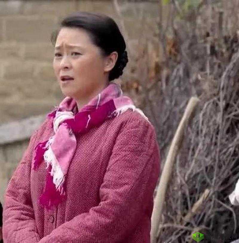 山村寡妇被强:道德与法律的边缘