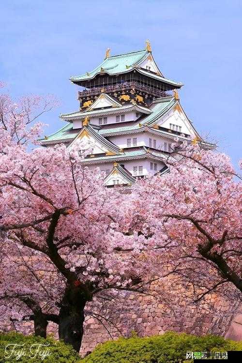 tobu8日本视频:带你领略独特的日本风情影像世界