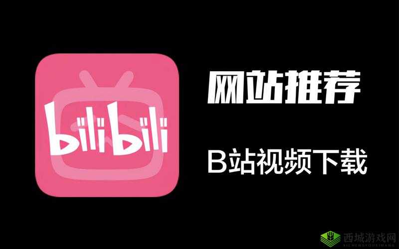 逼哩逼哩下载：带你畅享丰富精彩的视频世界