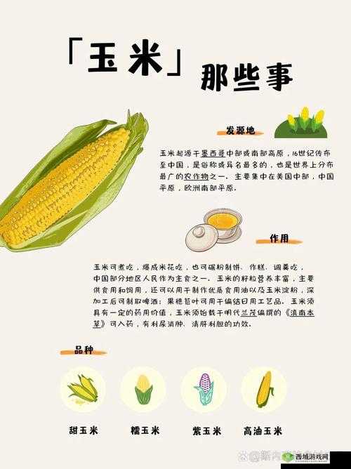 玉米地方的那些事儿:讲述关于玉米的故事