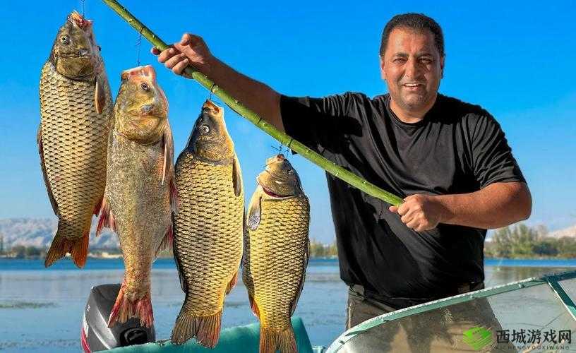 钓鱼与烹饪，幻想计划生活技能全揭秘在资源管理中的重要性与实践