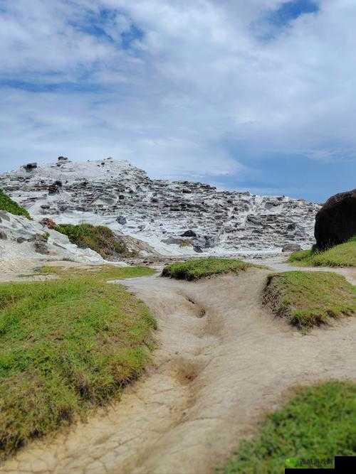 中国windows野外mgdrcc:探索其在自然环境中的独特表现