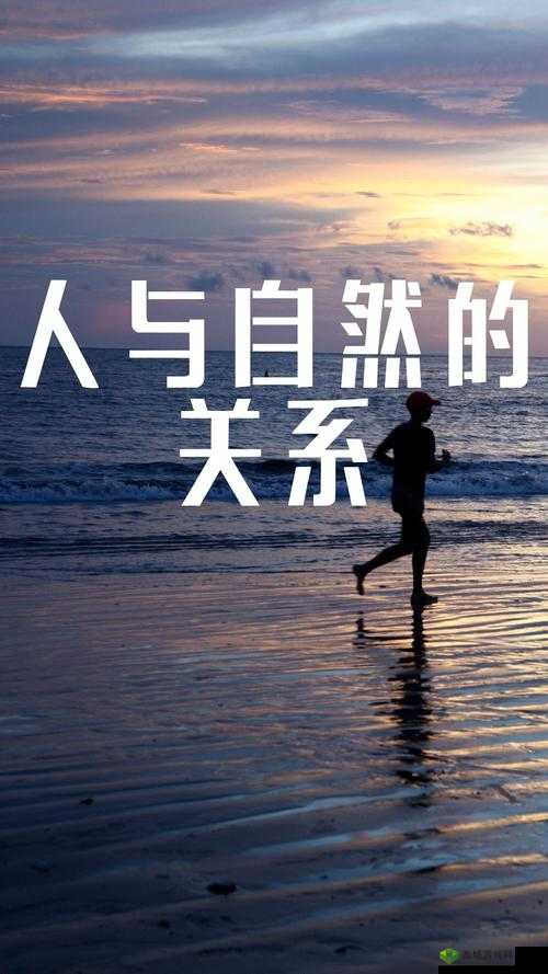 人与畜禽:和谐共生的未来