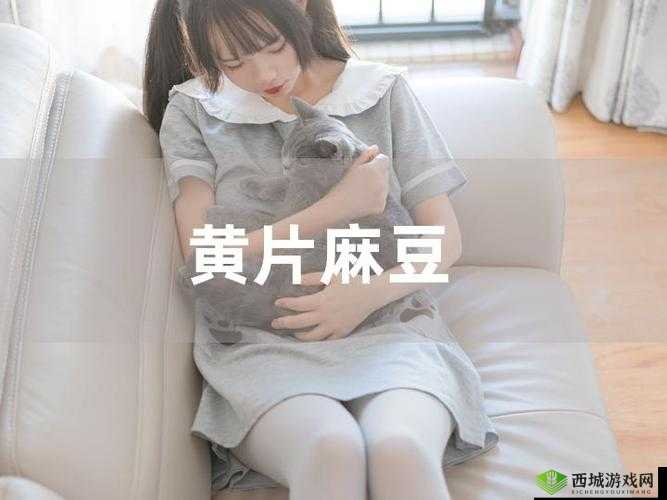 麻豆一精品 OV 免费看:畅享精彩视觉盛宴