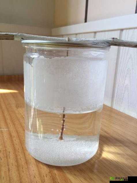 小烧货水能么多叫出来:探寻其背后的深层原因及影响