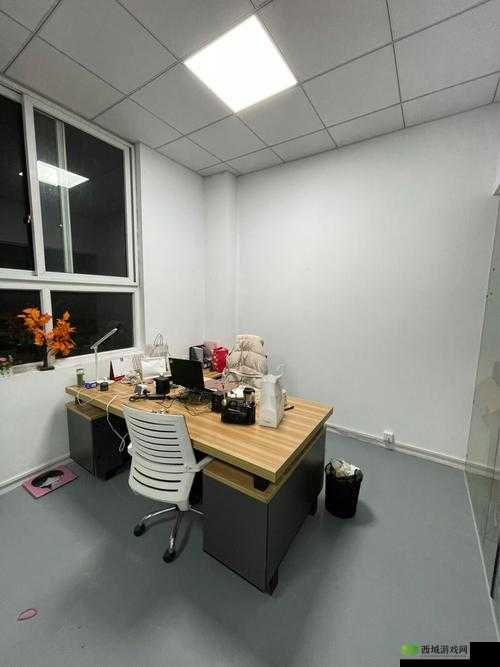 能不能在办公室干湿你:关于办公环境与行为的探讨