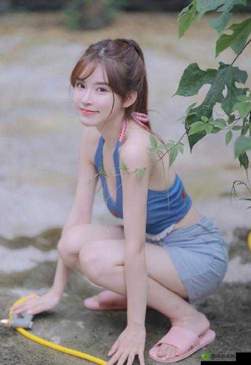 美女们的 xnxx:探索别样精彩与魅力