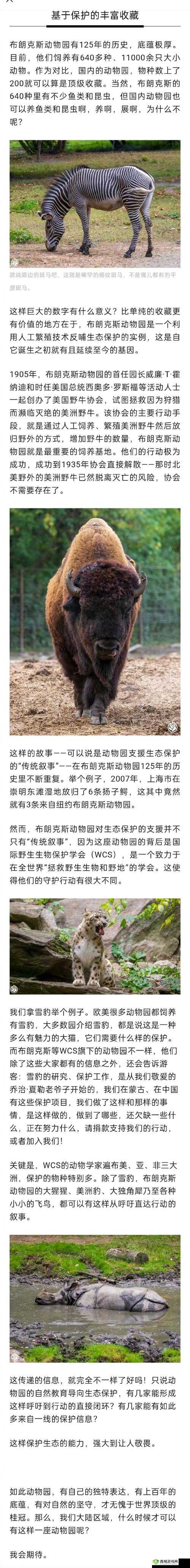 美国 Zoom 动物园:展现奇妙动物世界的精彩与魅力