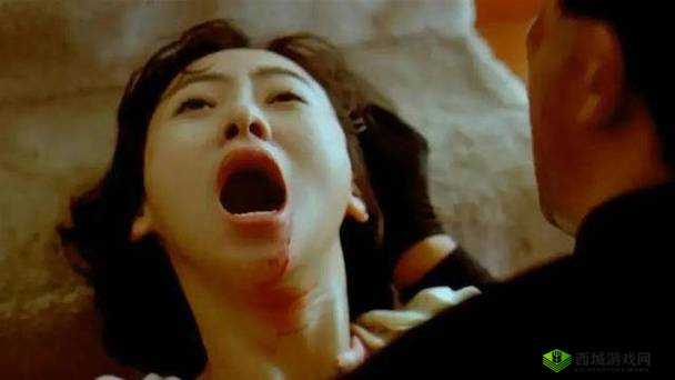 成年片免费观看网站播放器评测:全方位详细分析与解读