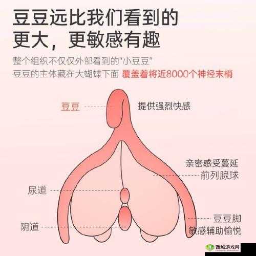 极度私密:探索未知的性探索:从摸奶舔阴开始