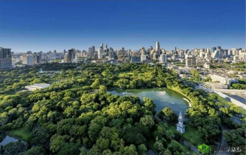 草碧一区:一个充满活力与希望的美好社区