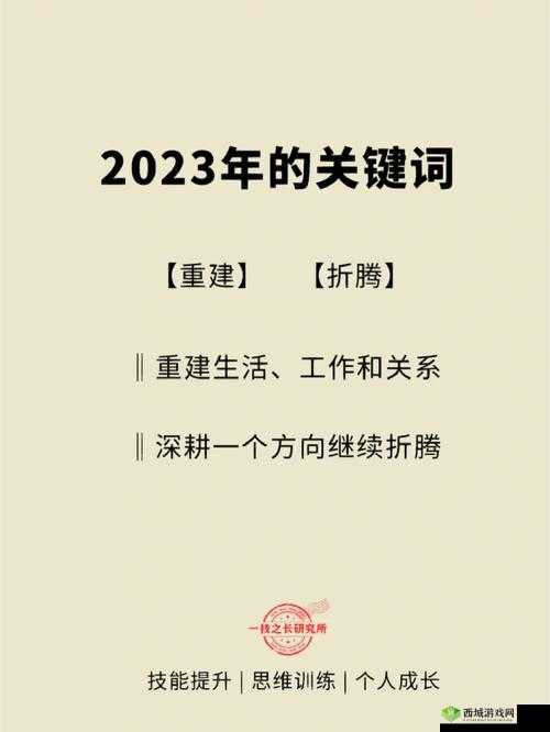 2023年的关键词,探索与挑战