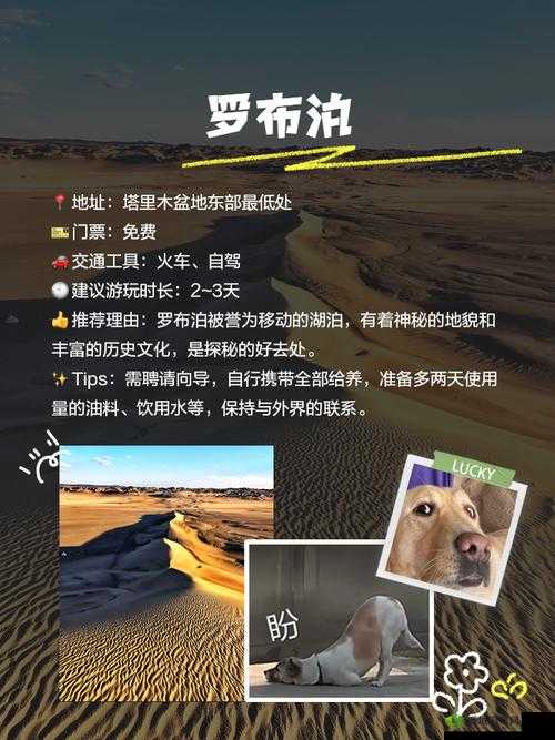 无人区编码 6229Jm 央视蚱蜢:荒野求生的神秘之旅