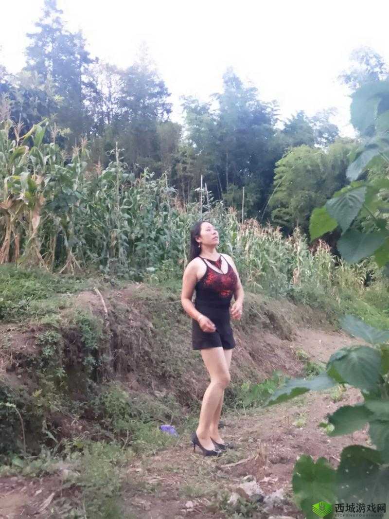 真实乡村 HDsex 纪实:揭露乡村生活中的另一面