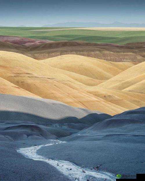 九九高清无码:成人世界的视觉盛宴