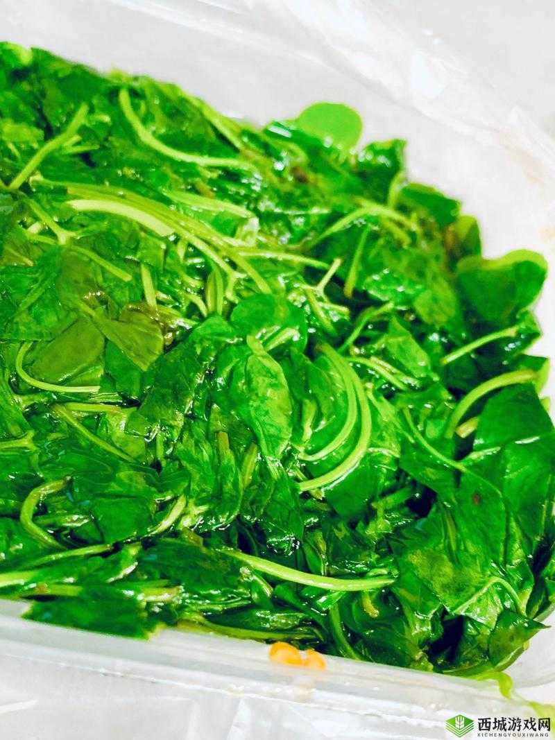 久久丫精品忘忧草产品特点:美味独特让人回味无穷