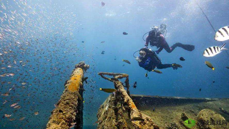 希望传说海底玩法曝光 新场景一览，资源管理、高效利用与价值最大化