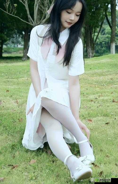 丝袜时尚:探索谷露丝袜的无限可能