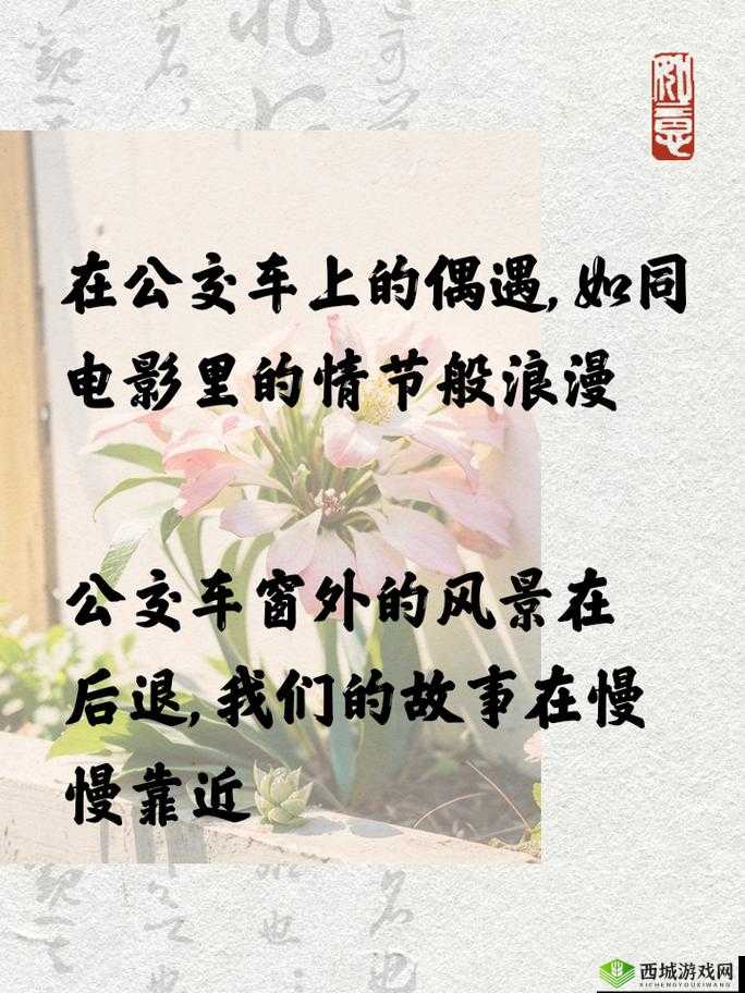 公交奇遇:一次难忘的旅程